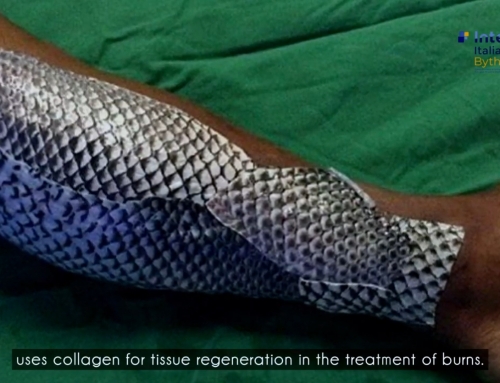 Collagene, una preziosa risorsa nei residui del pescato